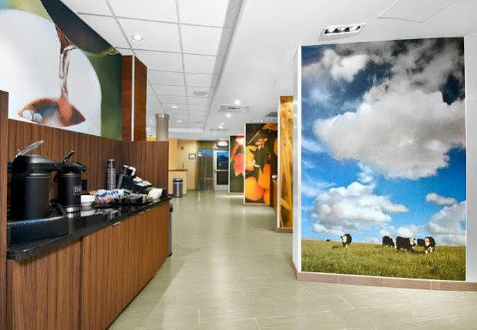 Fairfield Inn & Suites By Marriott Smithfield Esterno foto
